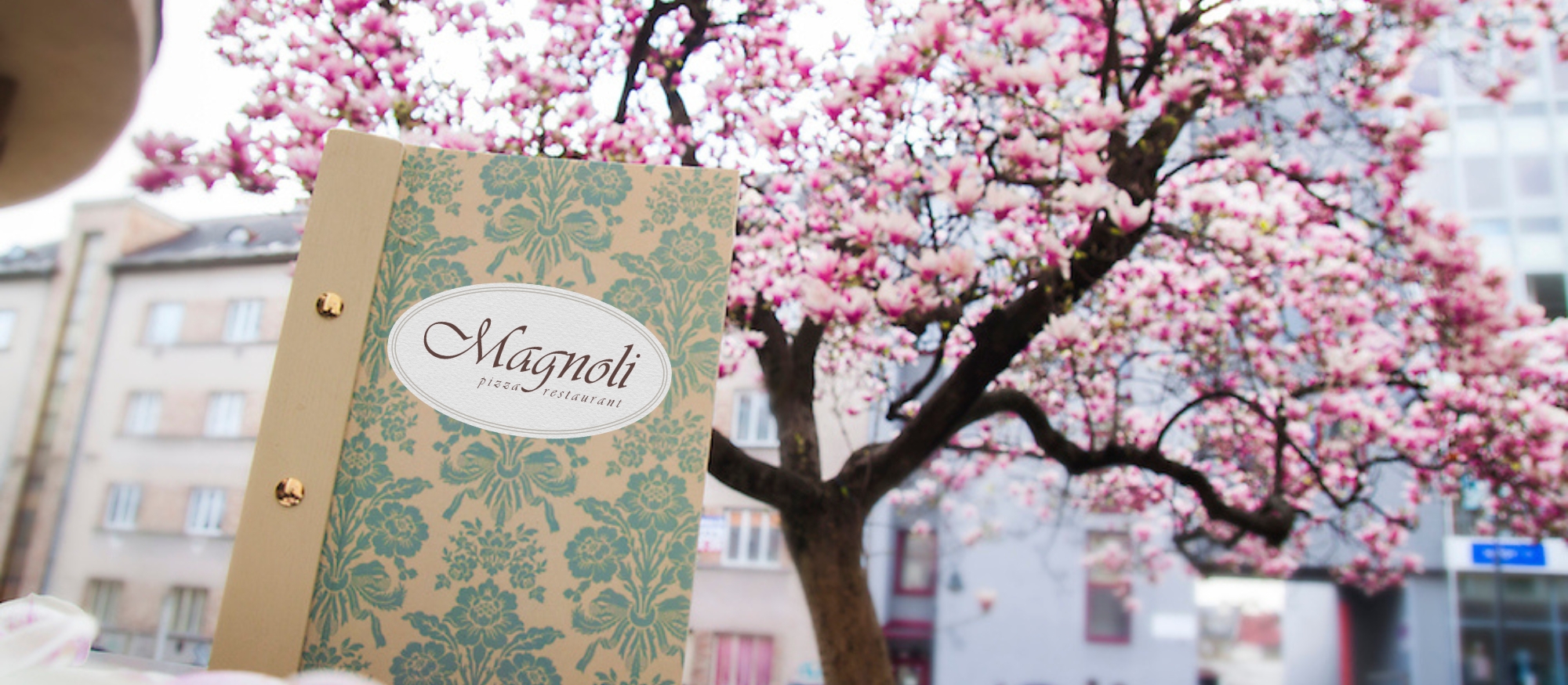 magnoli pizza front 2500x1667 (2000 × 875 px)-4
